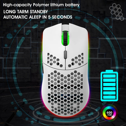 TMKB Falcon M1SE Ultralight Honeycomb Gaming Mouse